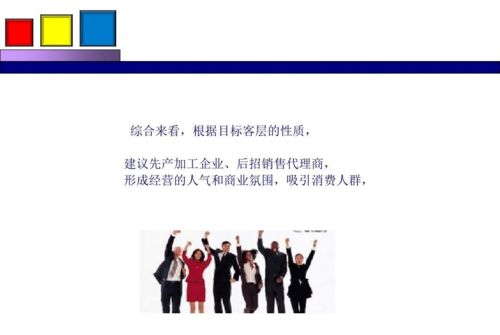 勁花項(xiàng)目營銷策劃方案分享